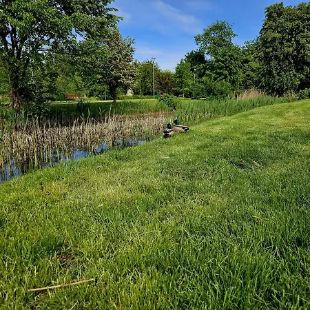 Countryside Apartamento *
